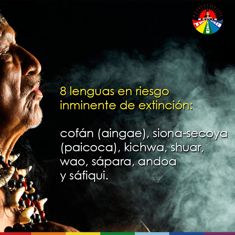 Lengua Indígena 2019-4