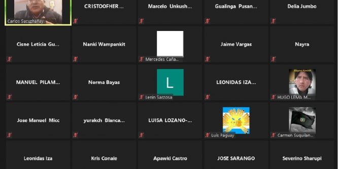 Resoluciones del Consejo Ampliado de la CONAIE