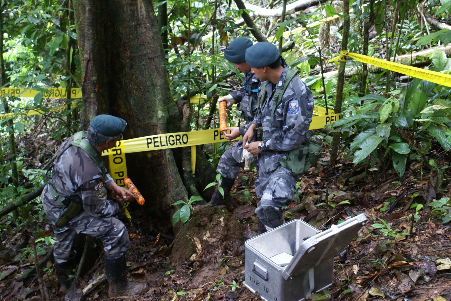 Sentencia Emitida Por La Corte Constitucional Del Ecuador A Favor Del ...